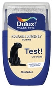 Testeur peinture cuisine Color resist acrylique mat citronnade 30 ml - Dulux Valentine - Brico Dépôt