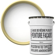 Peinture façade pliolite blanc mat 5 L - Colours - Brico Dépôt