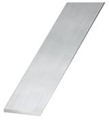 Plat aluminium brut - 20 x 2 mm 1 m Argent - Brico Dépôt