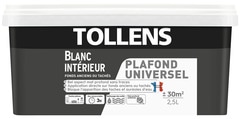 Peinture intérieure monocouche plafonds tachés Blanc Mat 2.5 L - Tollens - Brico Dépôt