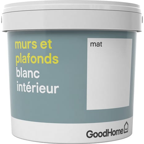 Peinture Bicouche Murs Et Plafonds Intérieure Acrylique Mat Blanc 5 L ...