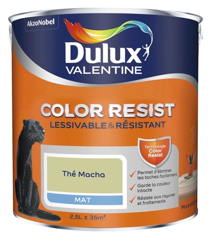 Peinture murs et boiseries intérieure acrylique Mat thé macha 2.5 L - Dulux Valentine - Brico Dépôt