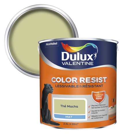 Peinture murs et boiseries intérieure acrylique Mat thé macha 2.5 L - Dulux Valentine - Brico Dépôt