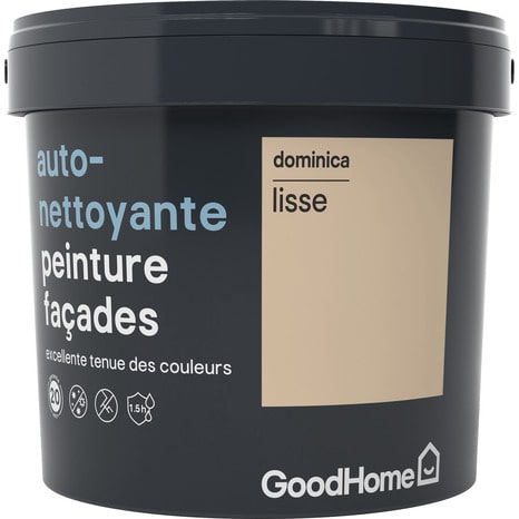 Peinture façade autonettoyante prenium Dominica 5L - GoodHome - Brico Dépôt