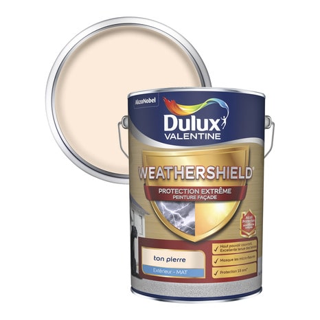 Peinture Facades Protection Superieure Ton Pierre Mat 5l Brico Depot