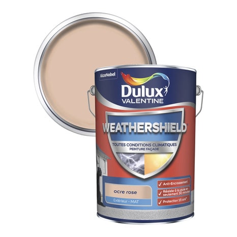 Peinture Facades Lisses Ocre Rose Mat 5l Brico Depot