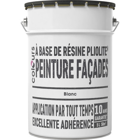 Peinture façade pliolite blanc mat 5 L - Colours - Brico Dépôt