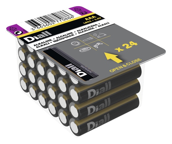 Lot de 24 piles alcalines AAA - LR03 - Diall - Brico Dépôt