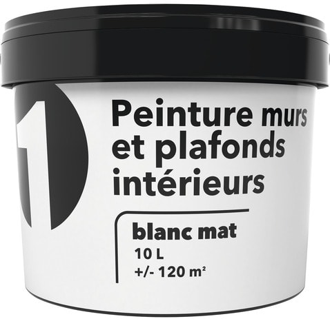 Peinture Blanche Mur Et Plafond Mat - Multi-Supports - BLANC RENOVATION 10L