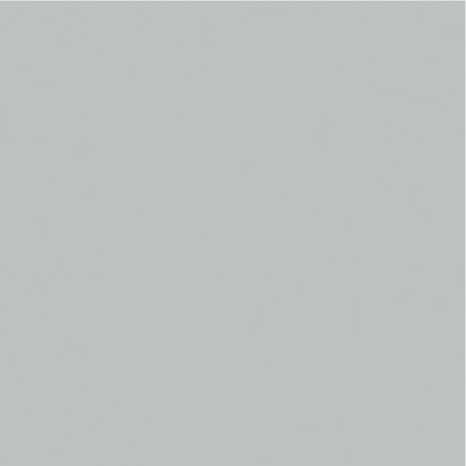 Peinture extérieure Satin multi supports 0,75 L gris clair - Evalux - Brico Dépôt