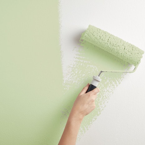 Peinture mur intérieur Satin 0,75 L Vert tilleul - Evalux - Brico Dépôt