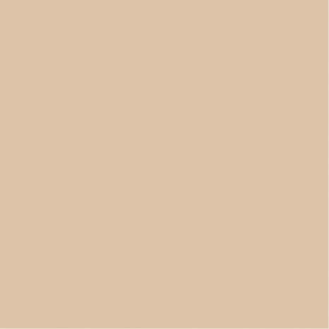 Peinture façade extrême10 L beige rose mat - Evalux - Brico Dépôt