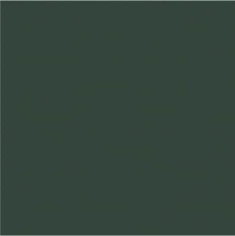 Peinture extérieur bois 0,75 L vert mousse satin - Evalux - Brico Dépôt