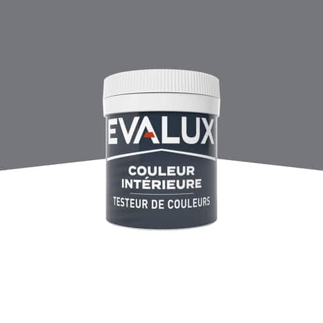 Testeur Peinture mur intérieur Mat 0,05 L Gris acier - Evalux - Brico Dépôt