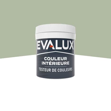 Testeur Peinture mur intérieur Mat 0,05 L Vert olive - Evalux - Brico Dépôt