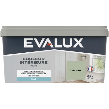 Peinture mur intérieur Mat 2,5 L Vert olive - Evalux - Brico Dépôt