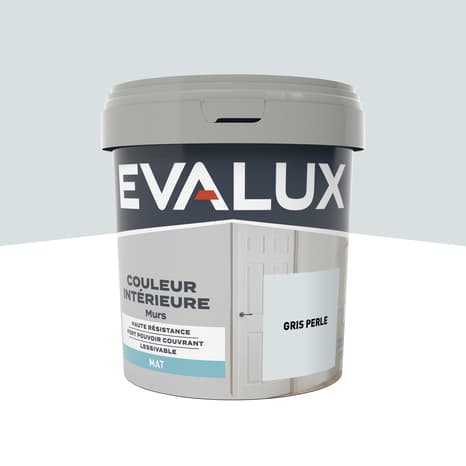 Peinture mur intérieur Mat 0,75 L Gris perle - Evalux - Brico Dépôt