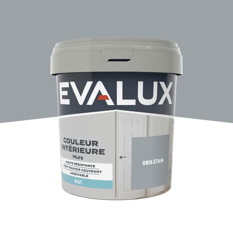 Peinture mur intérieur Mat 0,75 L Gris étain - Evalux - Brico Dépôt