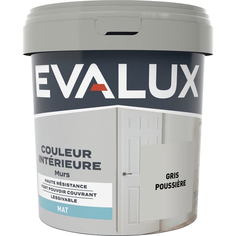 Peinture mur intérieur Mat 0,75 L Gris poussière - Evalux - Brico Dépôt