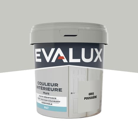 Peinture mur intérieur Mat 0,75 L Gris poussière - Evalux - Brico Dépôt