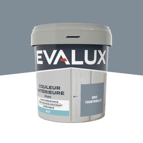 Peinture mur intérieur Mat 0,75 L Gris tourterelle - Evalux - Brico Dépôt