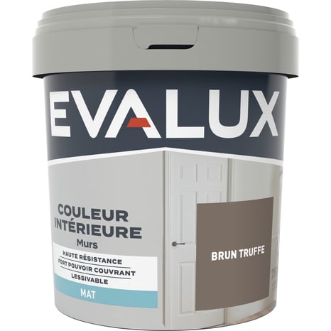 Peinture mur intérieur Mat 0,75 L Marron truffe - Evalux - Brico Dépôt