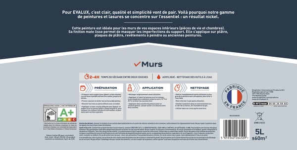 Peinture Blanche intérieure, murs Mat 5 L - Evalux - Brico Dépôt