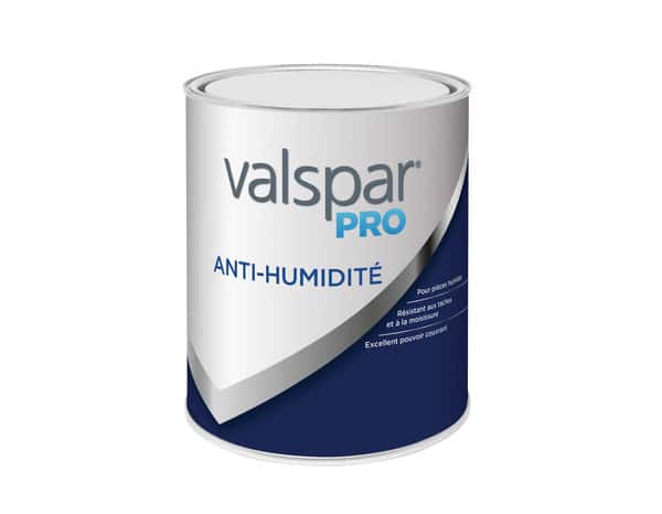 Peinture anti humidité cuisine salle de bain 1 L Satin - Valspar - Brico Dépôt