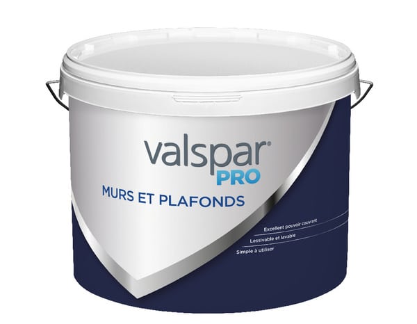 Peinture murs et plafonds 10L mat lisse - Valspar - Brico Dépôt