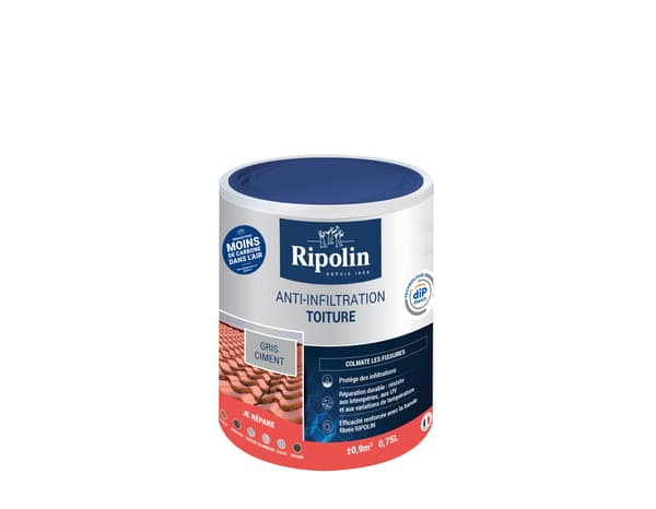 Etancheité anti-infiltration toiture Gris ciment 0.75 L - Ripolin - Brico Dépôt