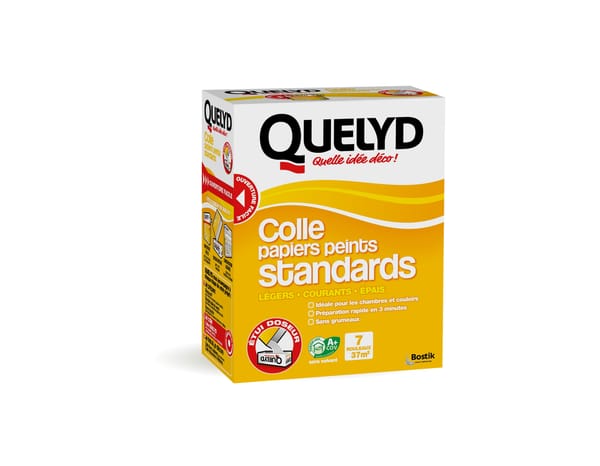 Colle à papiers peints standards - 250 g - Quelyd - Brico Dépôt