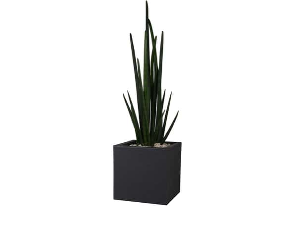 Pot carré Volcania anthracite 30 x 30 cm 21L - Brico Dépôt