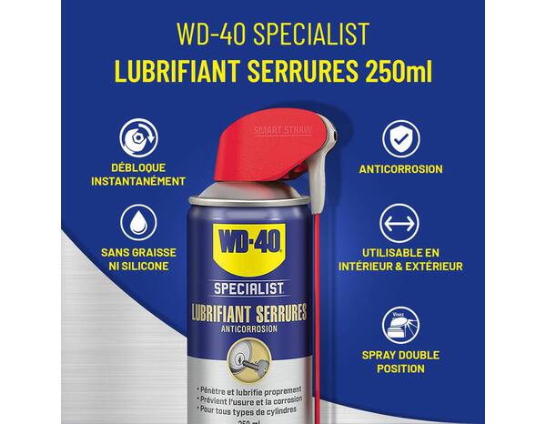 Wd40 specialist lubrifiant serrure 250 ml - WD40 - Brico Dépôt