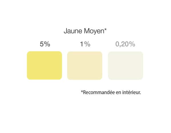 Colorant universel jaune moyen 250 ml - L'Universel - Brico Dépôt