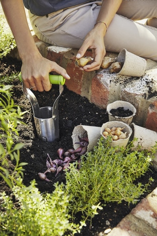 Plantoir à bulbes automatique en acier - Verve - Brico Dépôt