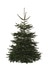 Sapin de Noël Nordmann 180-210 cm + bûche