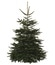 Sapin de Noël Nordmann 210-240 cm + bûche